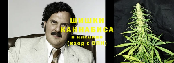 индика Алзамай