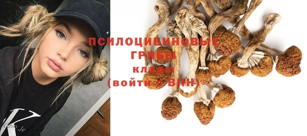 эйфоретик Абаза